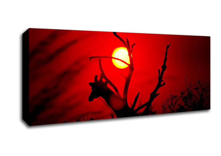 Picture of Giraffe At Sunset Panoramic Canvas Wall Art