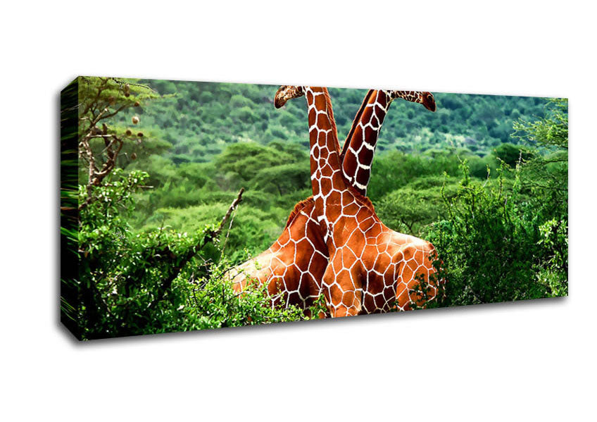 Picture of Giraffes Africa Panoramic Canvas Wall Art