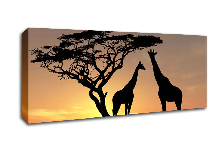 Picture of Giraffes At Sunset Panoramic Canvas Wall Art