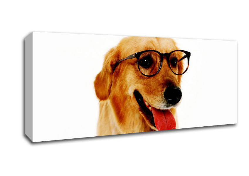 Picture of Golden Retriever Nerd Panoramic Canvas Wall Art