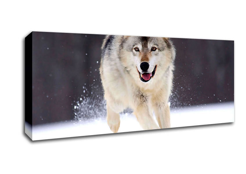 Picture of Gray Wolf Minnesota Panoramic Canvas Wall Art