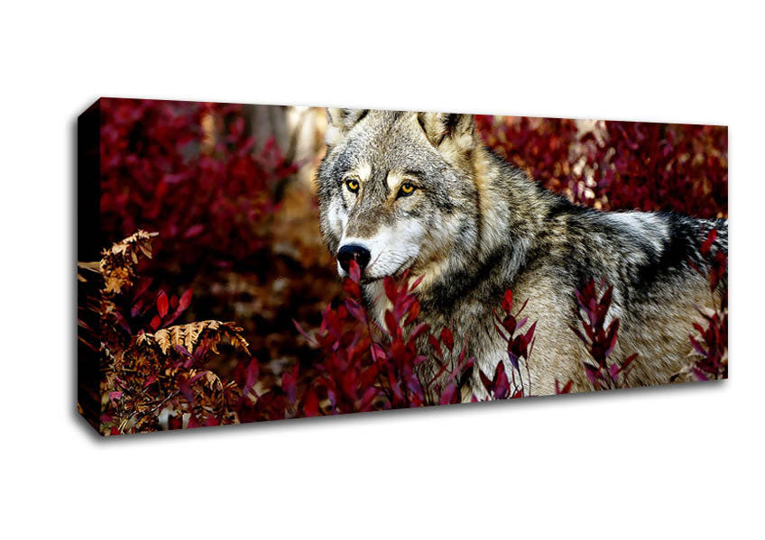 Picture of Gray Wolf Panoramic Canvas Wall Art