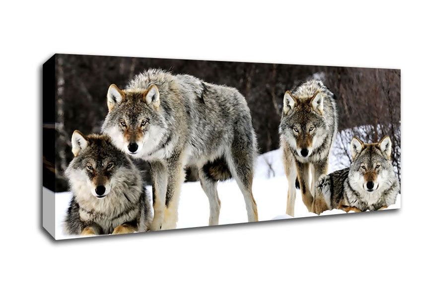 Picture of Gray Wolves Norway Panoramic Canvas Wall Art