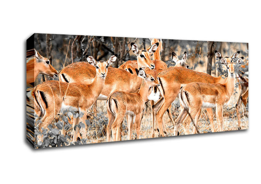 Picture of Herd Of Deer Panoramic Canvas Wall Art