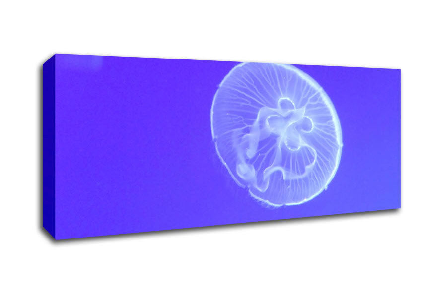 Picture of Horniman Jellyfish Panoramic Canvas Wall Art