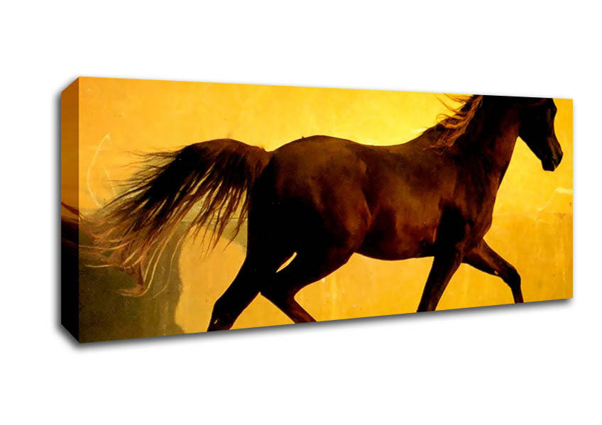 Picture of Horse In Golden Sunlight Panoramic Canvas Wall Art