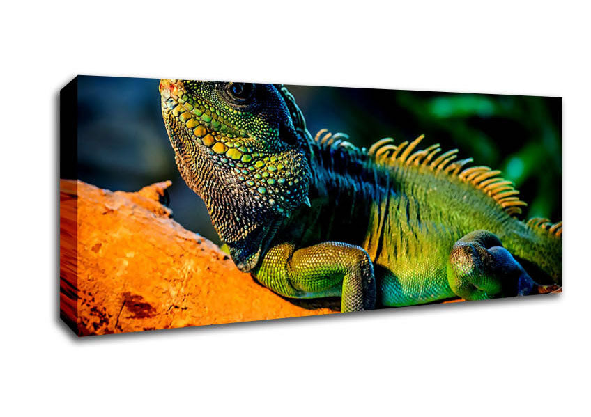 Picture of Iguana Panoramic Canvas Wall Art