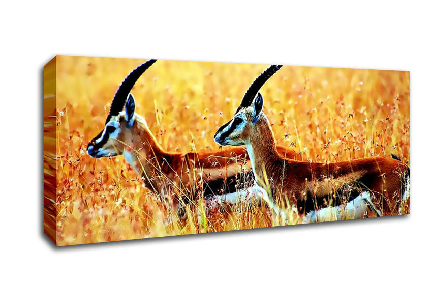 Picture of In The Wild Panoramic Canvas Wall Art