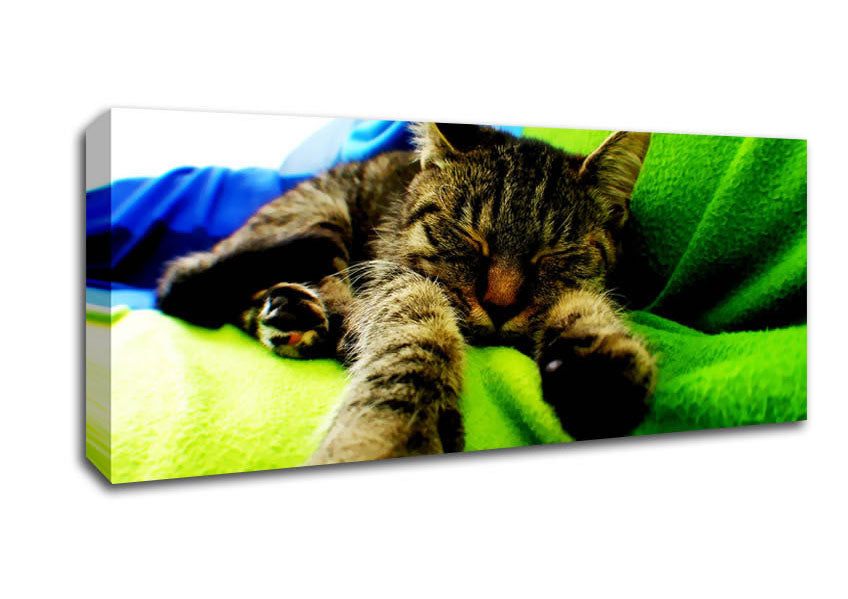 Picture of Its A Cats Life Panoramic Canvas Wall Art