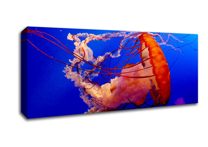 Picture of Jellyfish Ocean Panoramic Canvas Wall Art