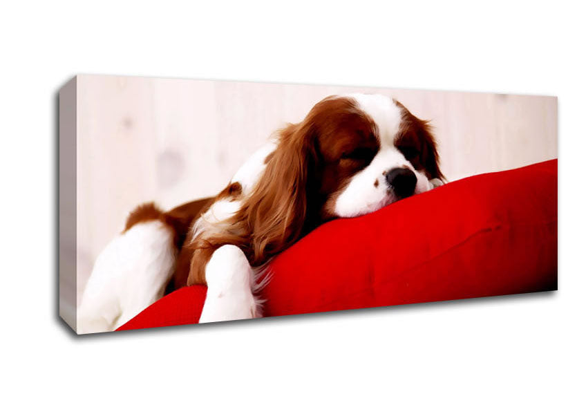 Picture of King Charles Thrown Panoramic Canvas Wall Art