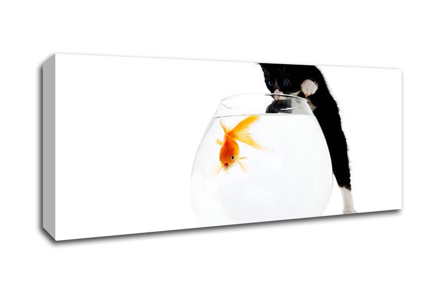 Picture of Kitten Fish Bowl Panoramic Canvas Wall Art