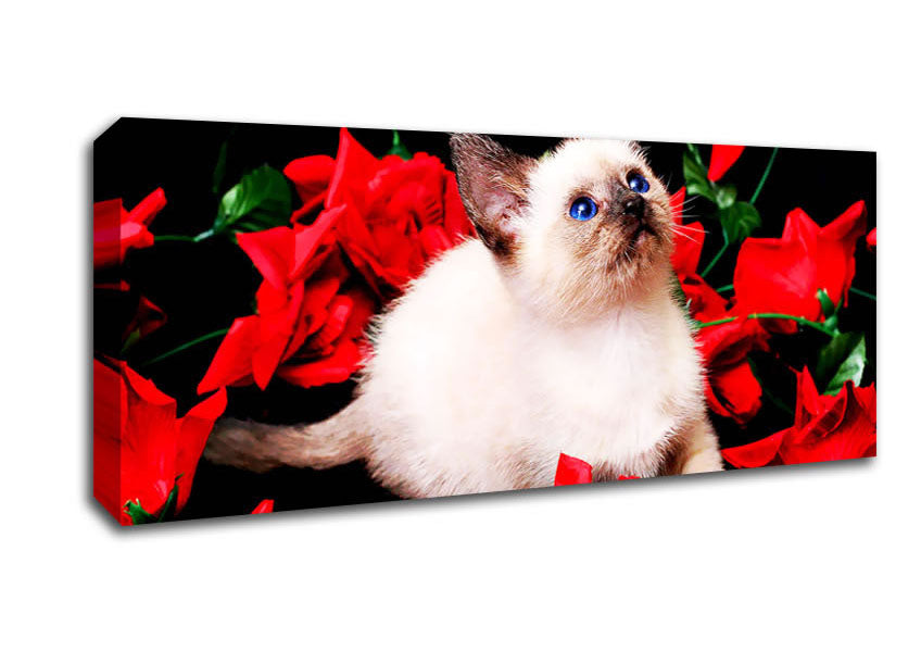 Picture of Kitten Roses Panoramic Canvas Wall Art