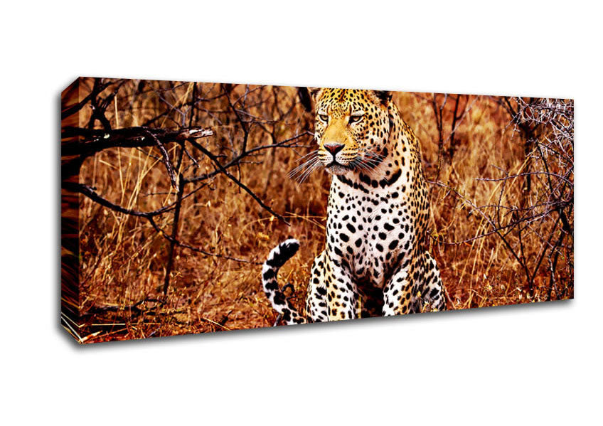 Picture of Leopard Hunt Panoramic Canvas Wall Art