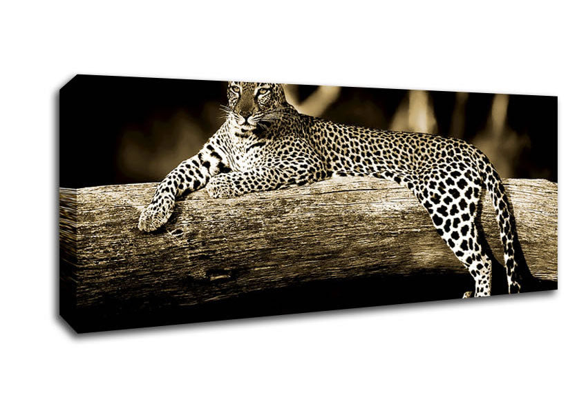 Picture of Leopard Lazy Days Panoramic Canvas Wall Art