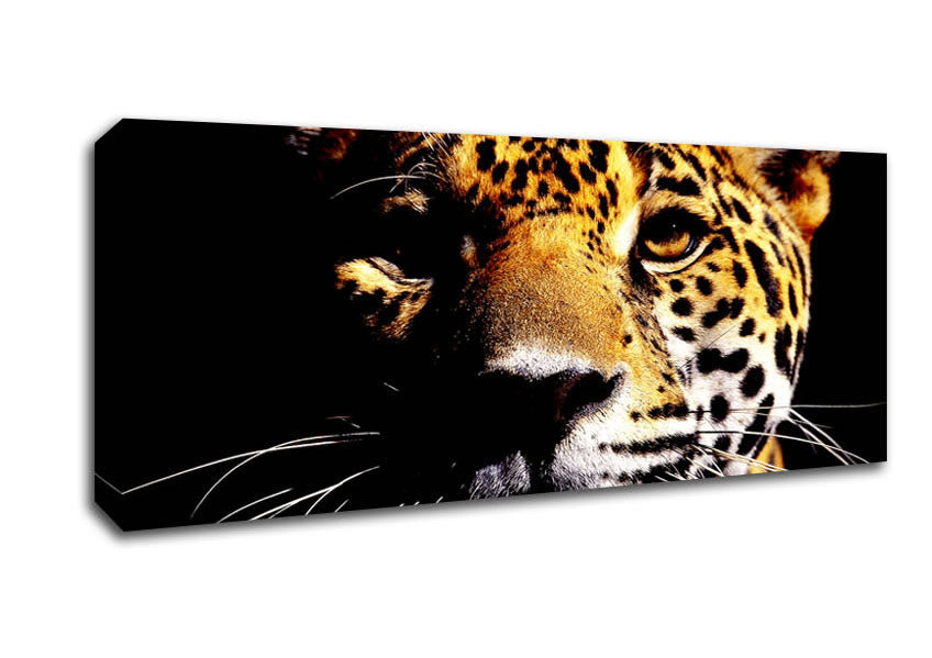 Picture of Leopard Pray Panoramic Canvas Wall Art