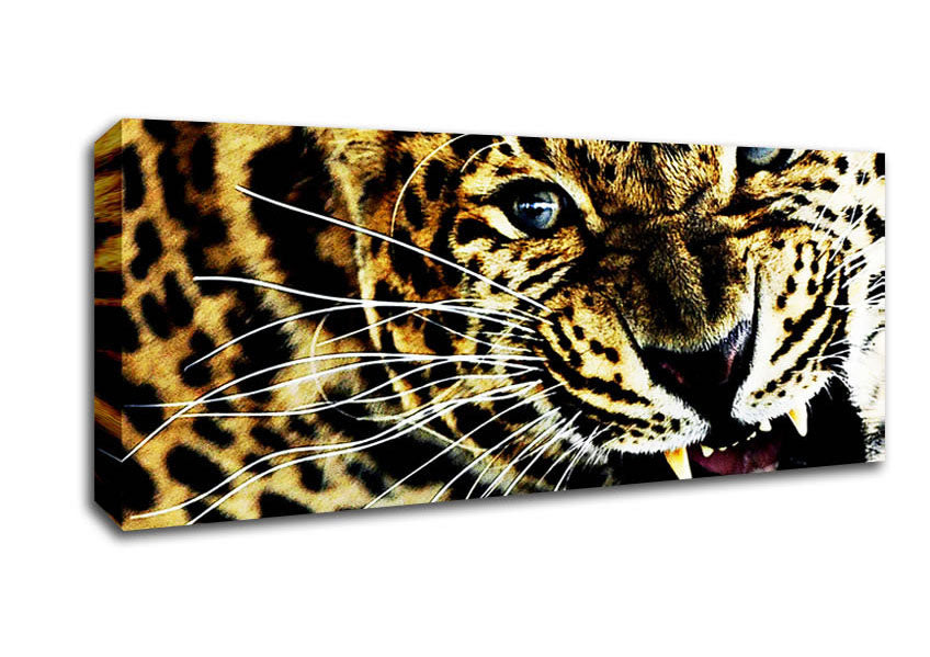 Picture of Leopard Roar Panoramic Canvas Wall Art