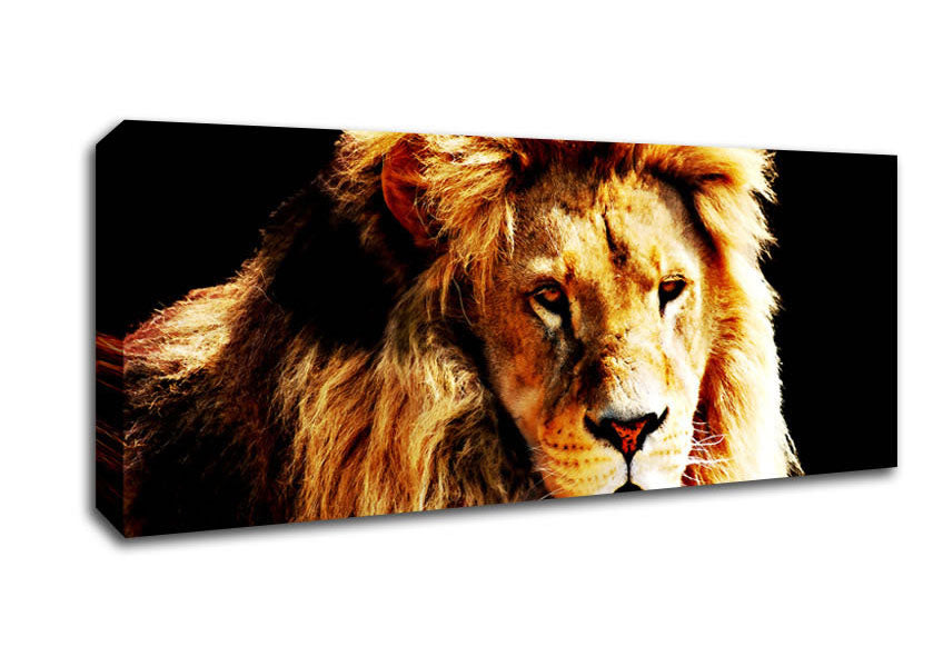 Picture of Lion Mane Panoramic Canvas Wall Art