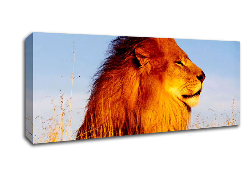 Picture of Lion On Watch Panoramic Canvas Wall Art