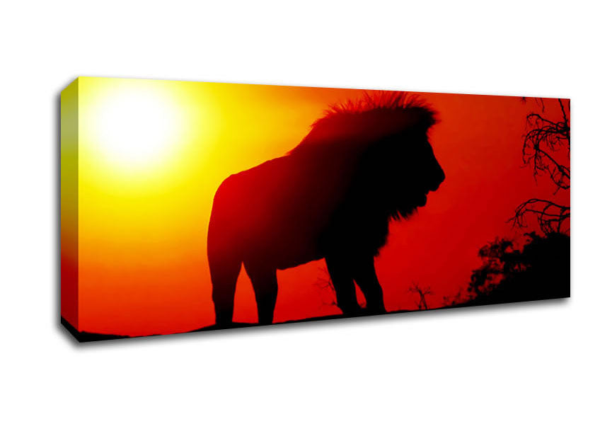 Picture of Lion Sunset Panoramic Canvas Wall Art