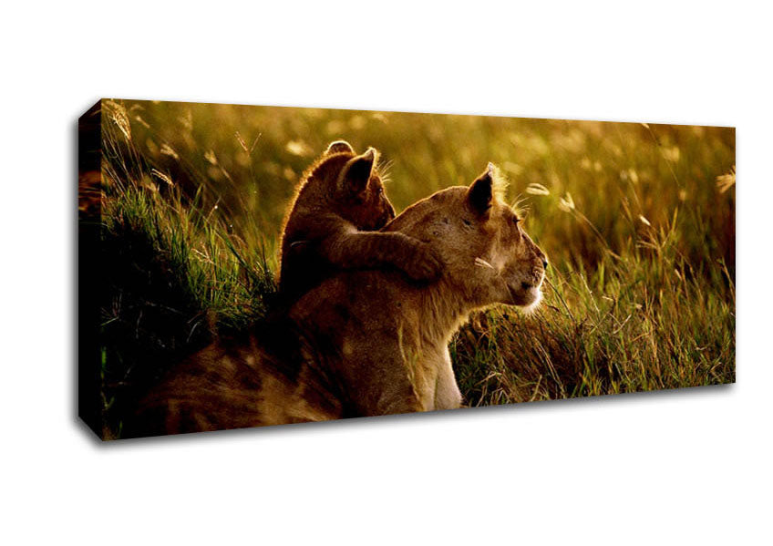 Picture of Lioness And Cub Panoramic Canvas Wall Art