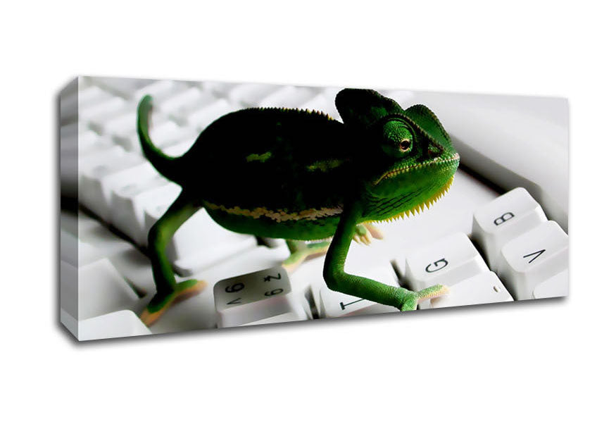 Picture of Lizard Keyboard Panoramic Canvas Wall Art