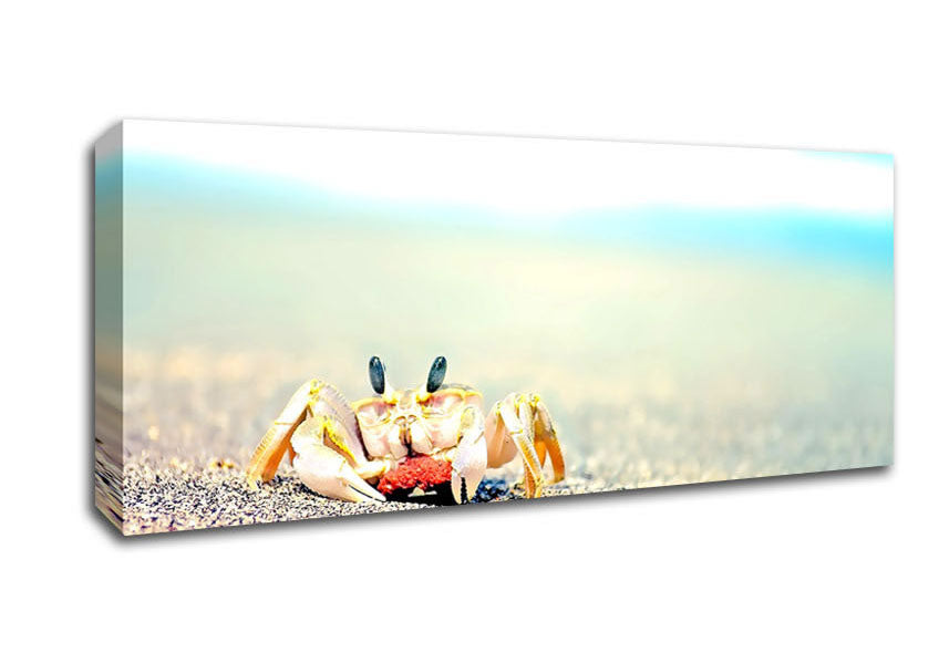 Picture of Lonely Crab Panoramic Canvas Wall Art