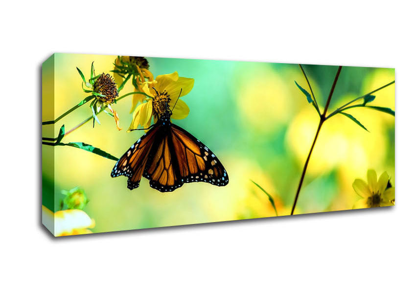 Picture of Monarch Butterfly On A Yellow Flower Panoramic Canvas Wall Art