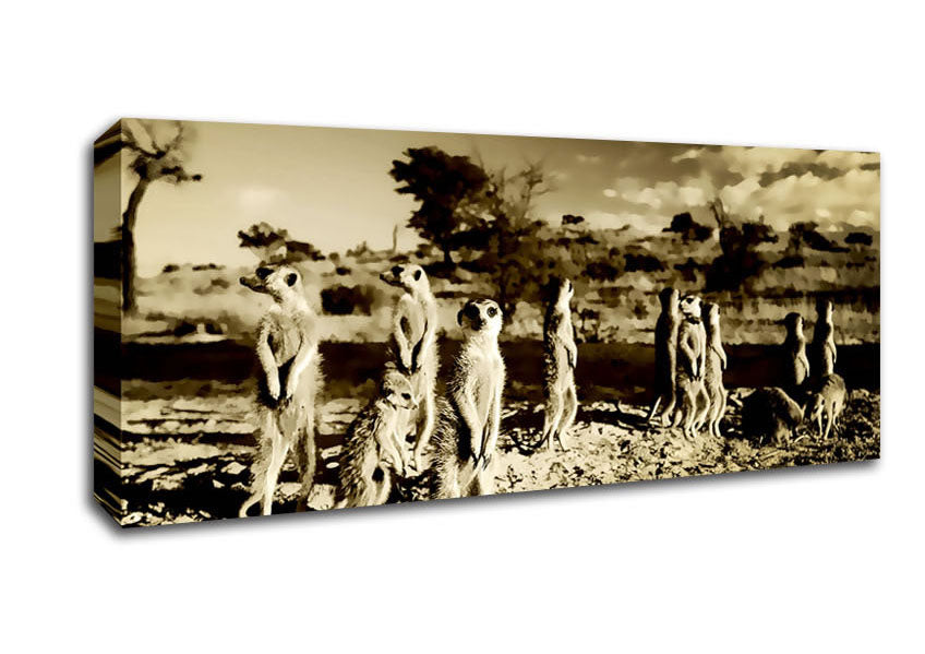 Picture of Noisy Meerkats Panoramic Canvas Wall Art