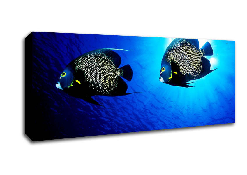 Picture of Ocean Delight Panoramic Canvas Wall Art