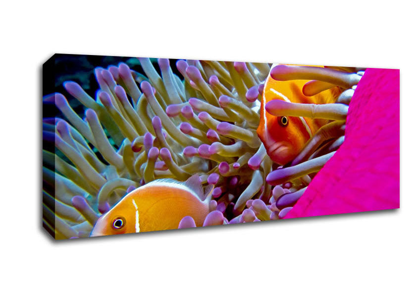 Picture of Ocean Sea Underwater Panoramic Canvas Wall Art