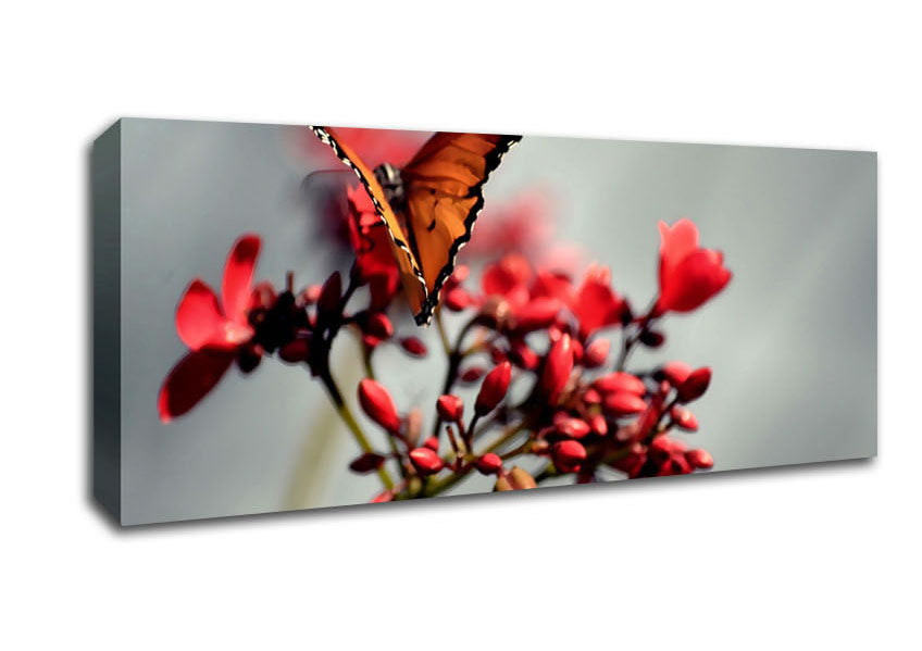 Picture of Orange Butterfly On Flower Panoramic Canvas Wall Art