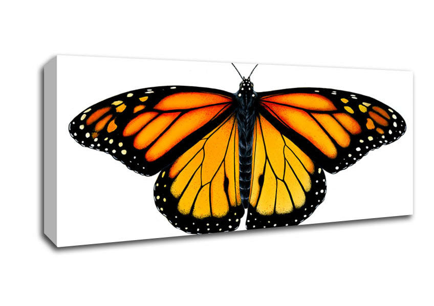 Picture of Orange Butterfly Wings Panoramic Canvas Wall Art