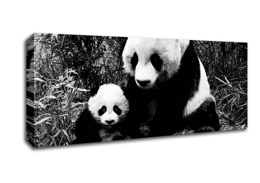 Picture of Panda Mother And Baby Panoramic Canvas Wall Art