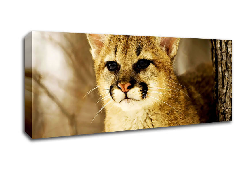 Picture of Panther In The Woodland Panoramic Canvas Wall Art