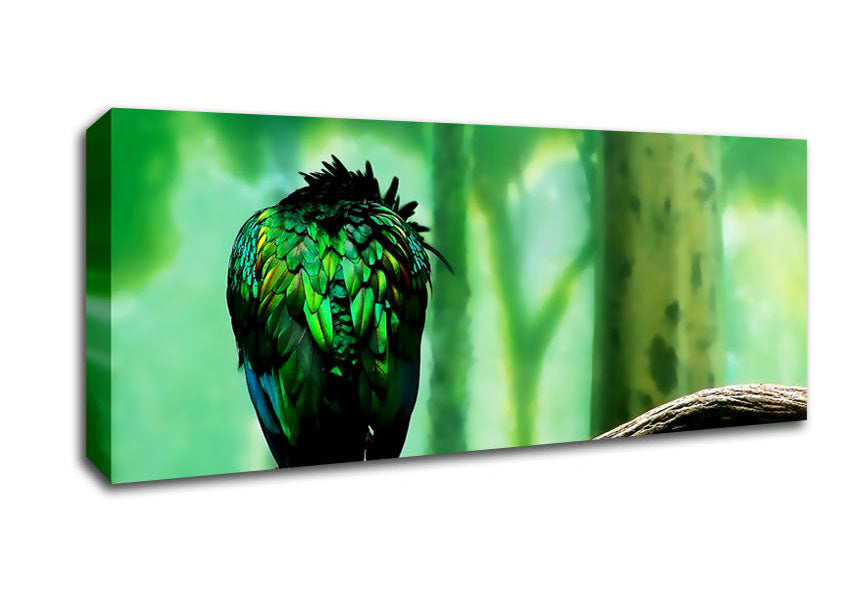 Picture of Parrot Perch Panoramic Canvas Wall Art