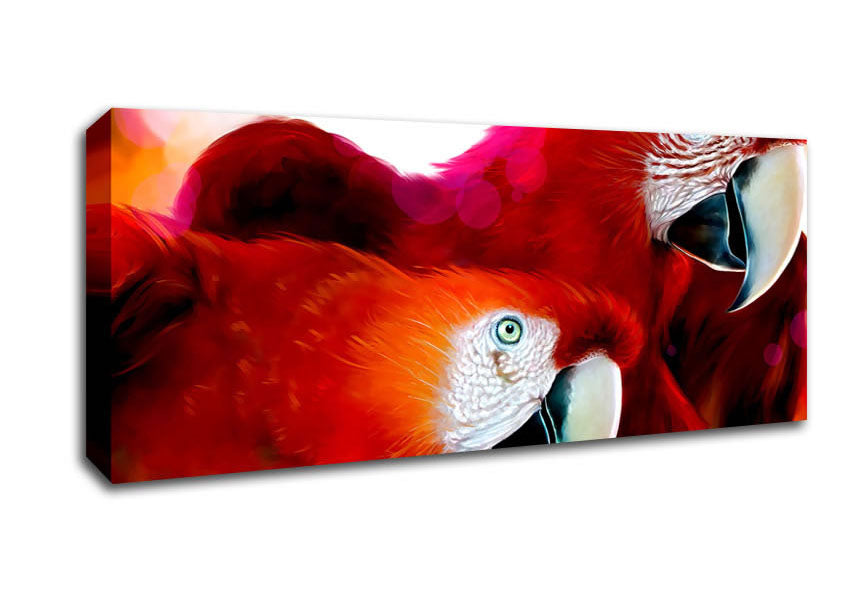 Picture of Parrots Panoramic Canvas Wall Art