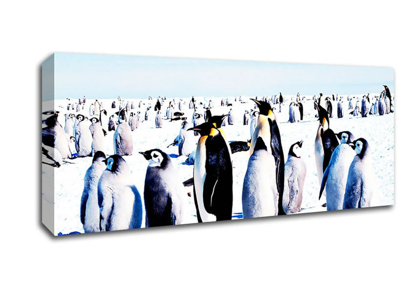 Picture of Penguin Meeting Place Panoramic Canvas Wall Art