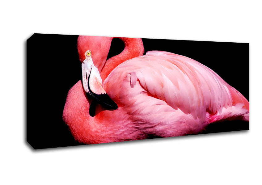 Picture of Pink Flamingo Panoramic Canvas Wall Art