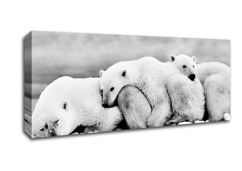 Picture of Polar bear Family Panoramic Canvas Wall Art