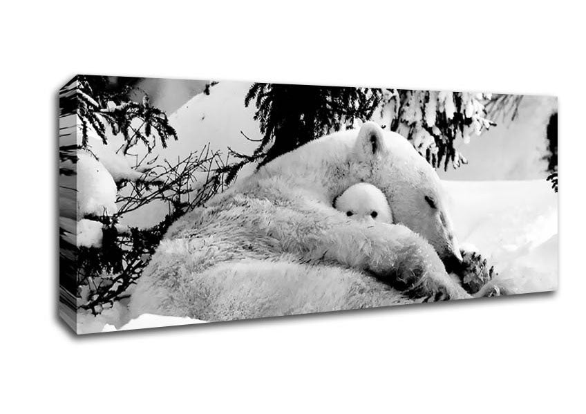 Picture of Polar bear Hug Panoramic Canvas Wall Art