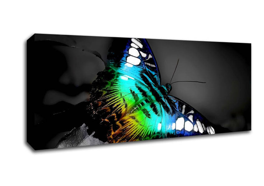 Picture of Psychodelic Butterfly Panoramic Canvas Wall Art