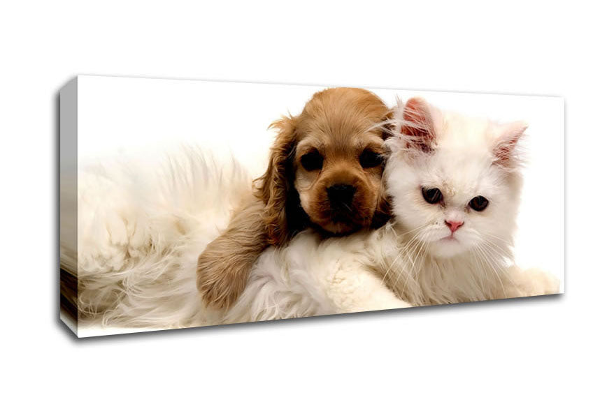 Picture of Puppy And Kitten Love Panoramic Canvas Wall Art