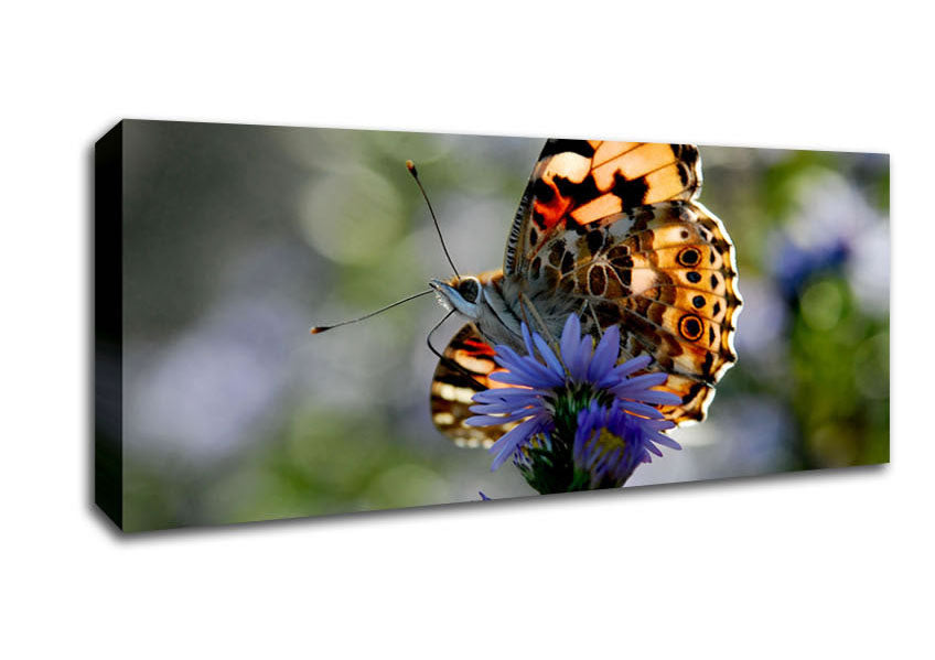 Picture of Purple Flower Butterfly Panoramic Canvas Wall Art