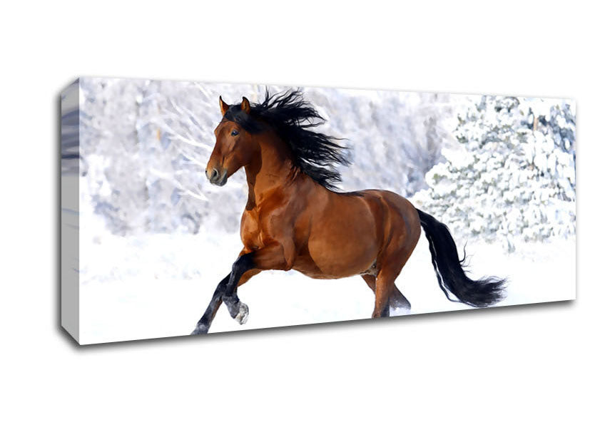 Picture of Racing Horse Panoramic Canvas Wall Art