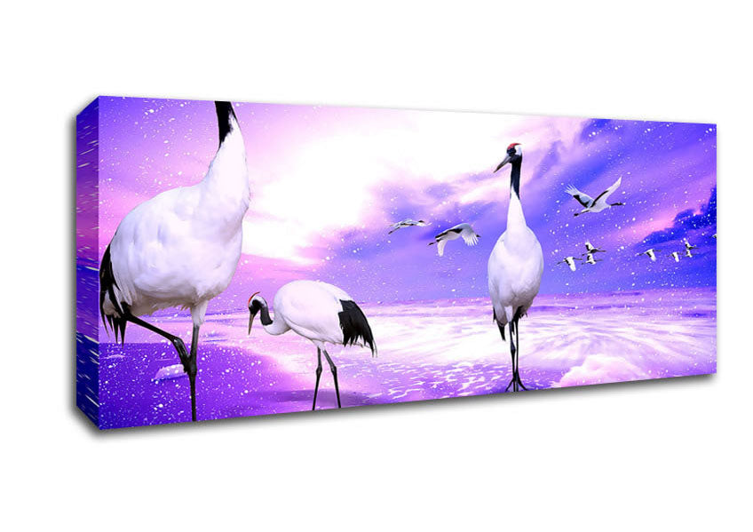 Picture of Red Crowned Cranes Japan Panoramic Canvas Wall Art