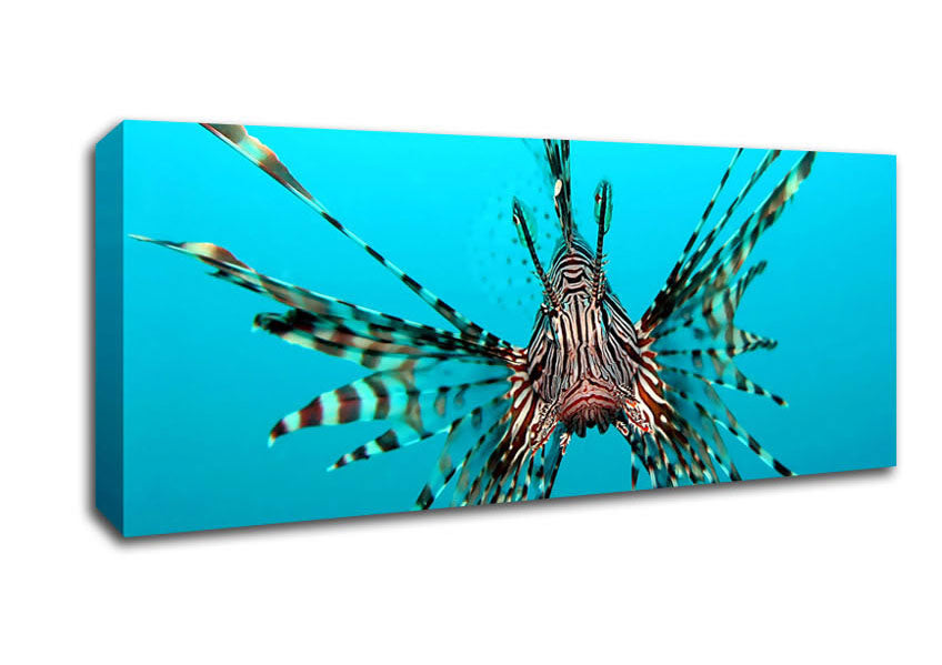 Picture of Red Lionfish Panoramic Canvas Wall Art