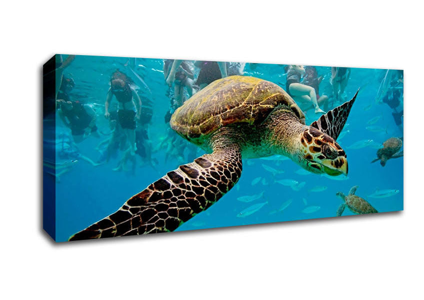 Picture of Sea Turtle Under Water Panoramic Canvas Wall Art