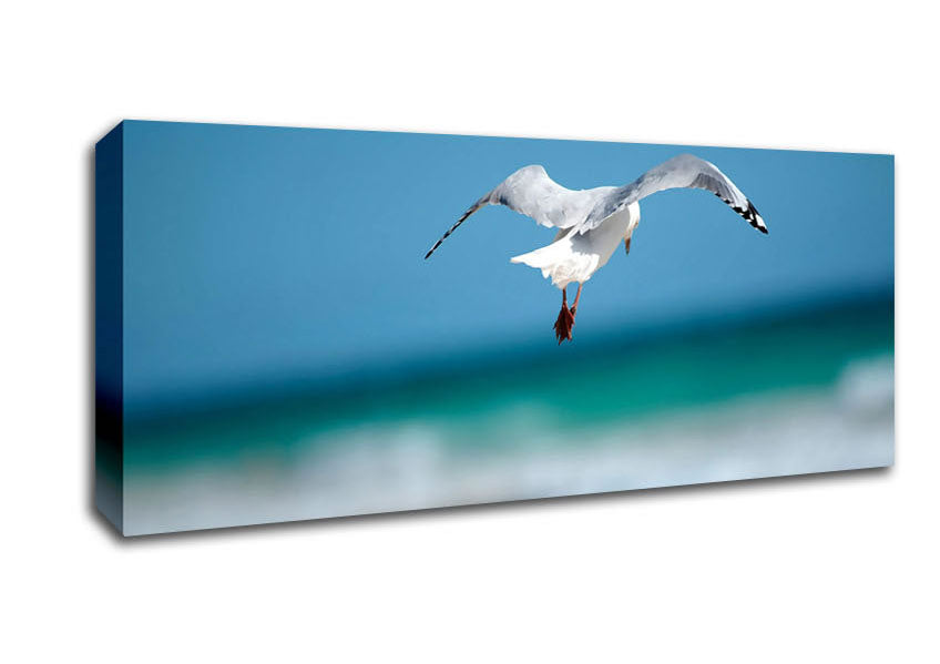 Picture of Seagull Over The Ocean Panoramic Canvas Wall Art