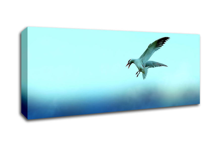 Picture of Seagull Panoramic Canvas Wall Art